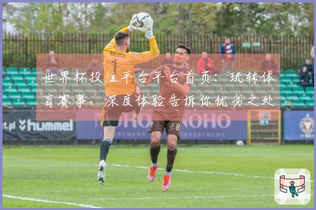 世界杯投注平台平台首页：玩转体育赛事，深度体验告诉你优劣之处